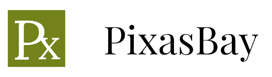 PixasBay Logo